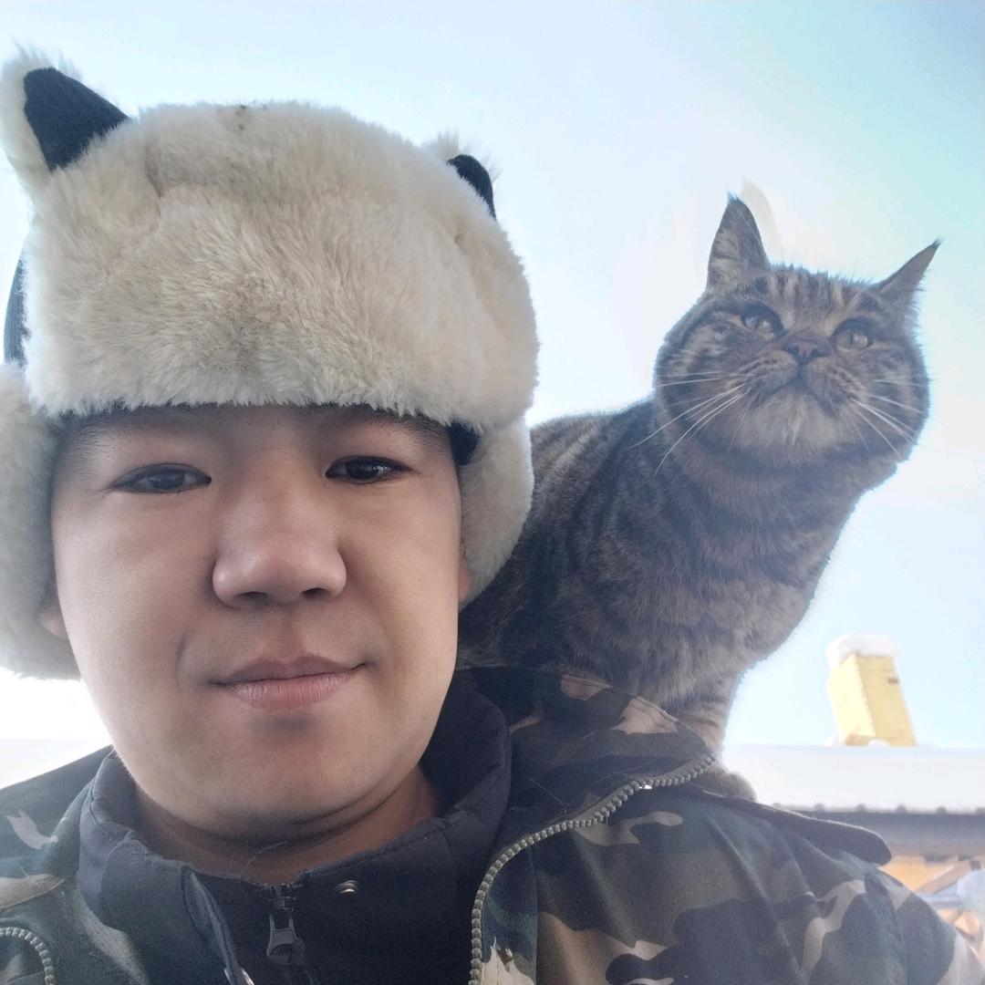 鱼的记忆