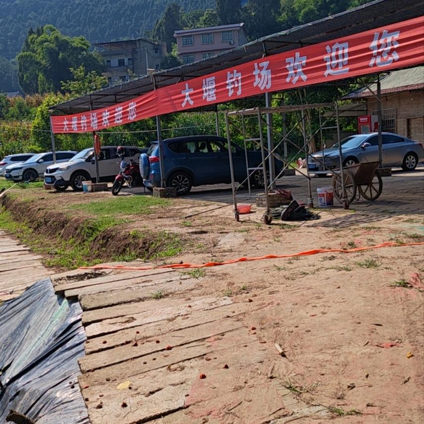 大雁钓场陈丽