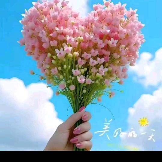 路河镇曹家鲜猪肉火山石脆皮烤肠