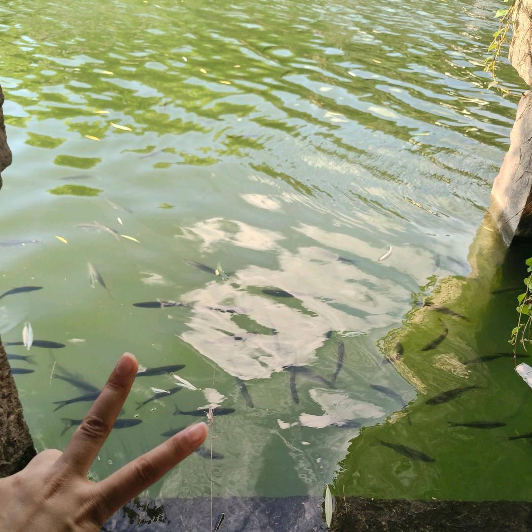 没有名字💞