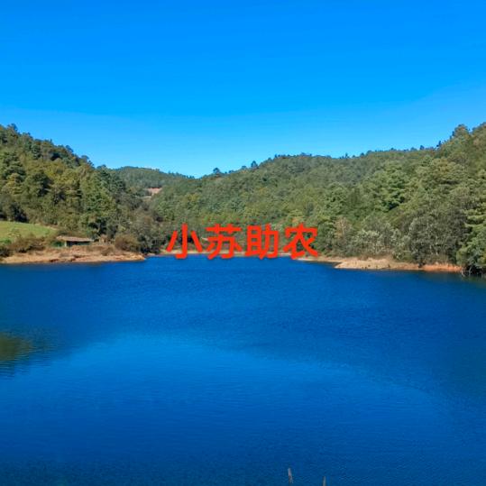 小苏助农🆎🈯➡️🌱✅