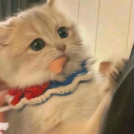 奶狗