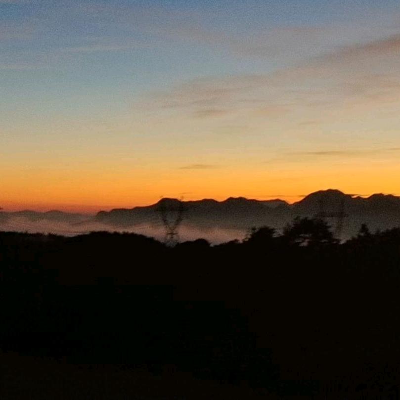 来了再来猪肉销售