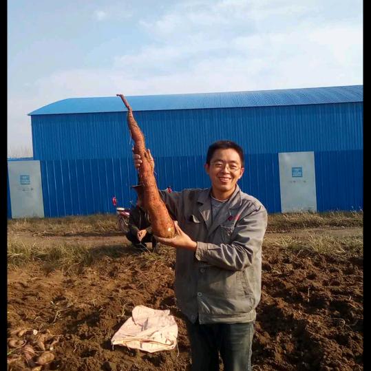 一起学中医
