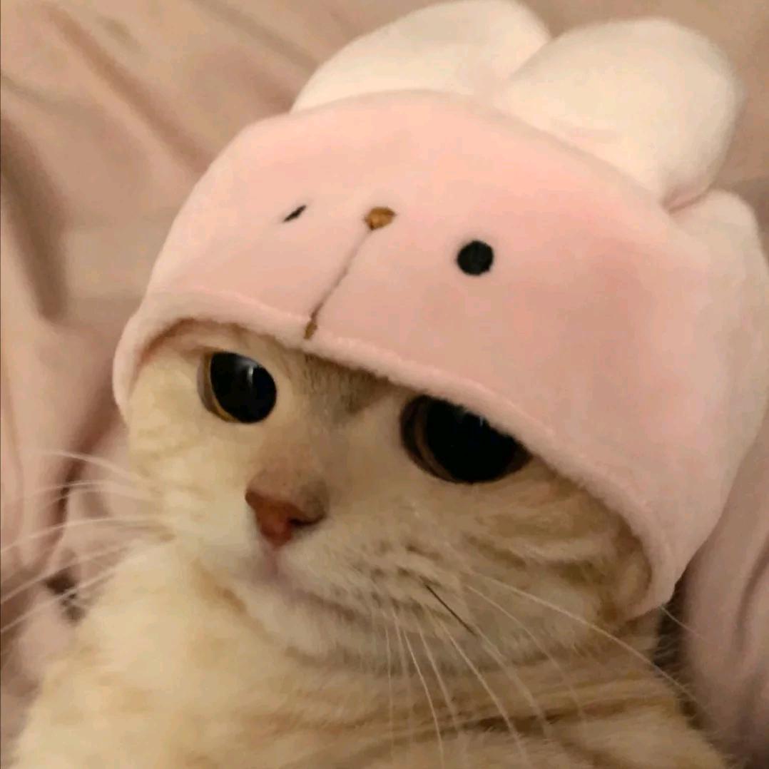 小弈