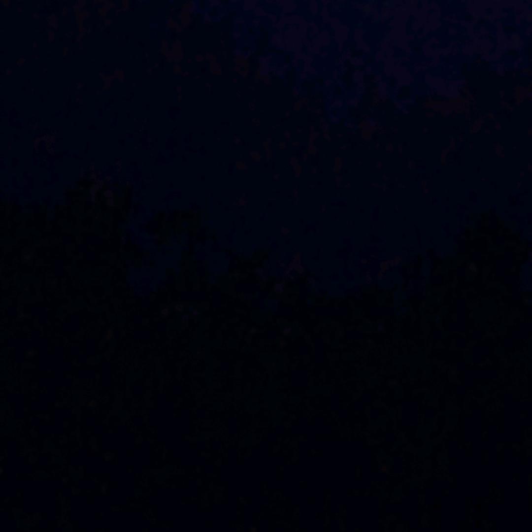 w.//.w