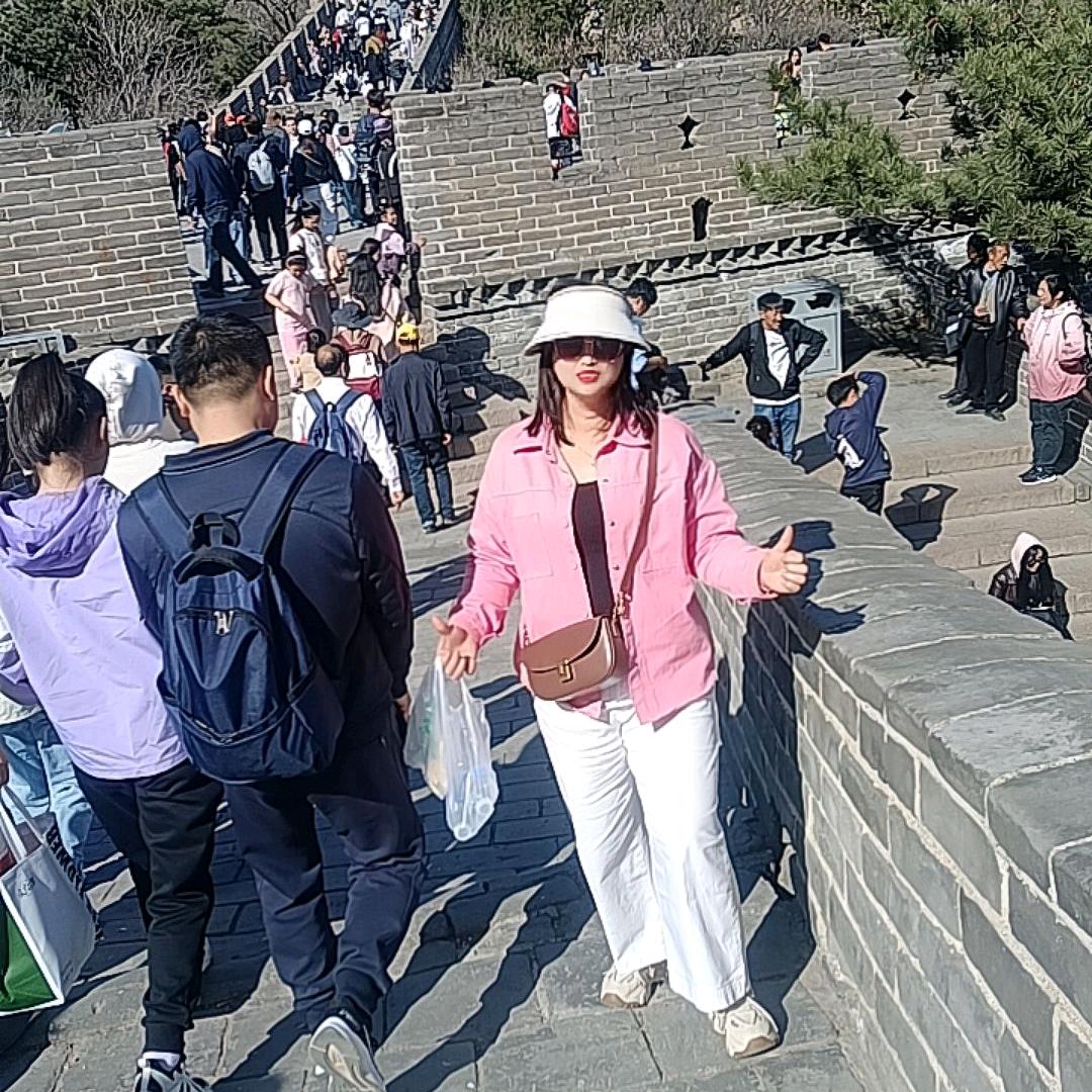 随心∽所欲