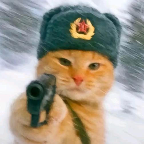 不要扣屁股