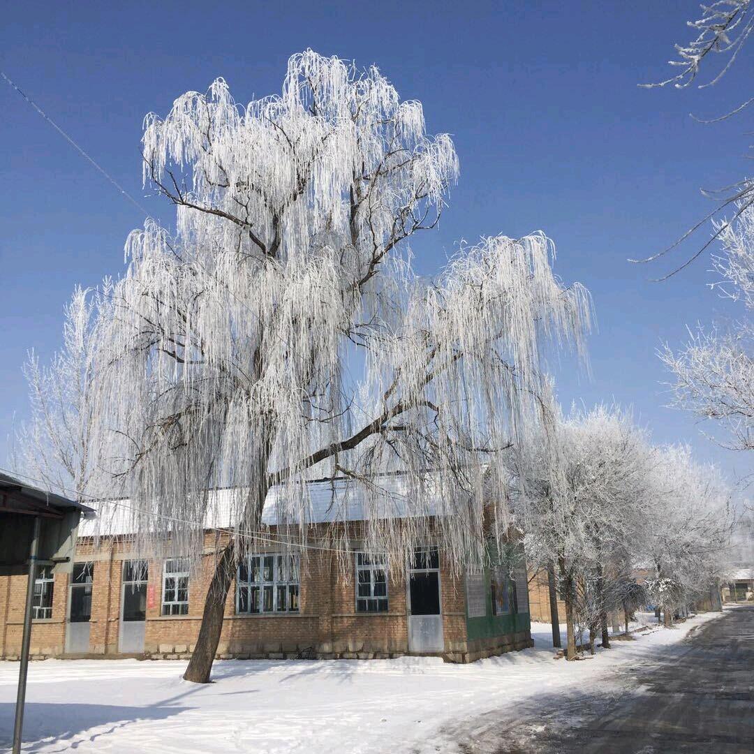 康哥晨弟很哇塞