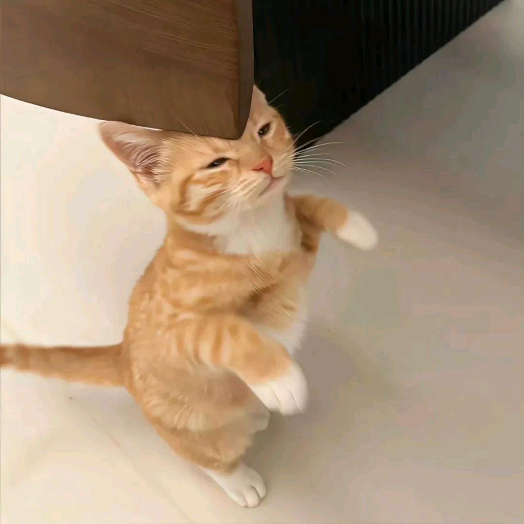 起床吃小孩