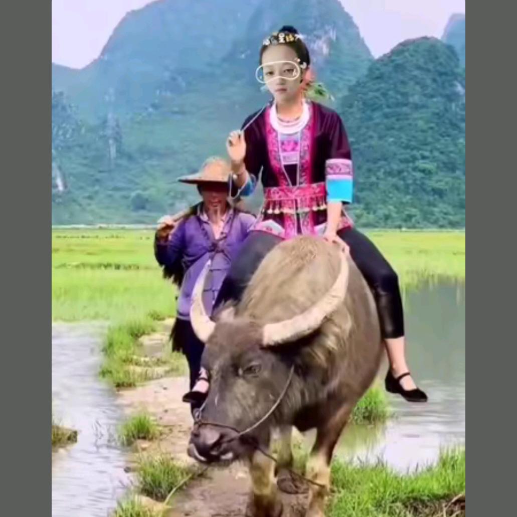 我半痴半傻半疯癫