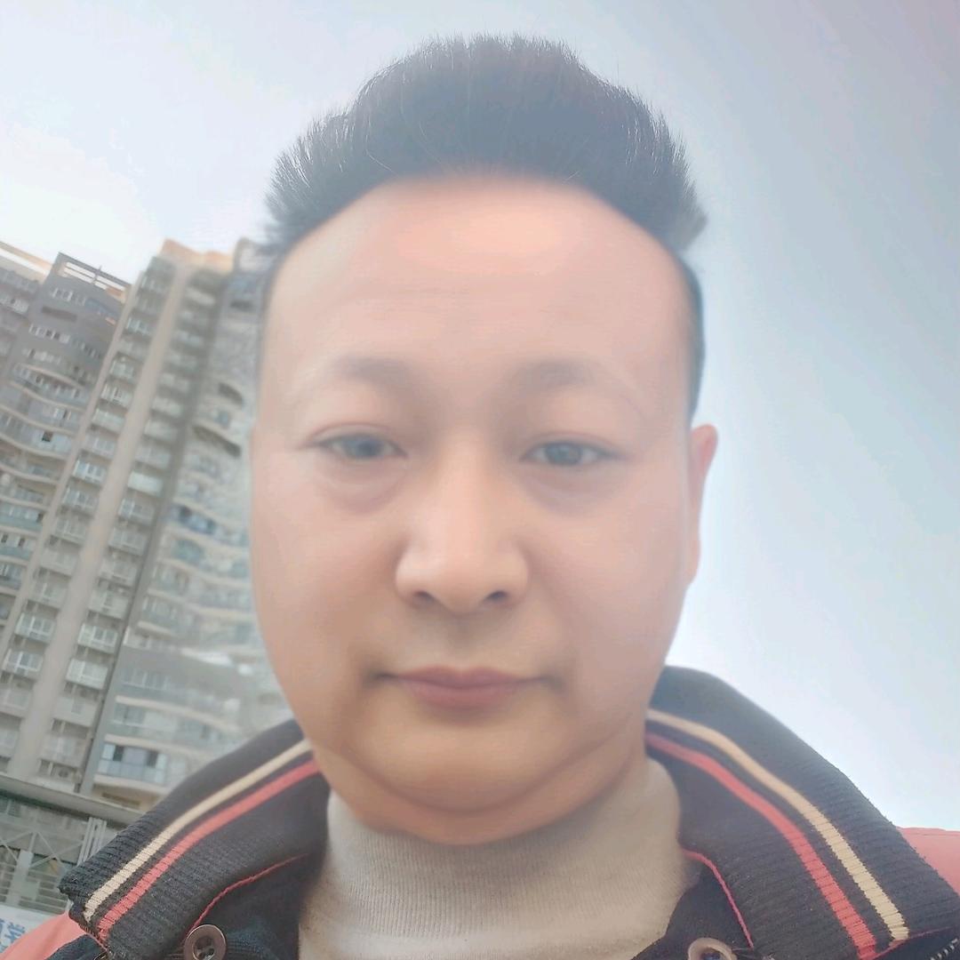 桂茶相伴
