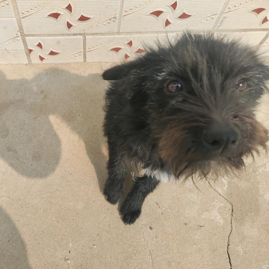 （武汉）曾小贤