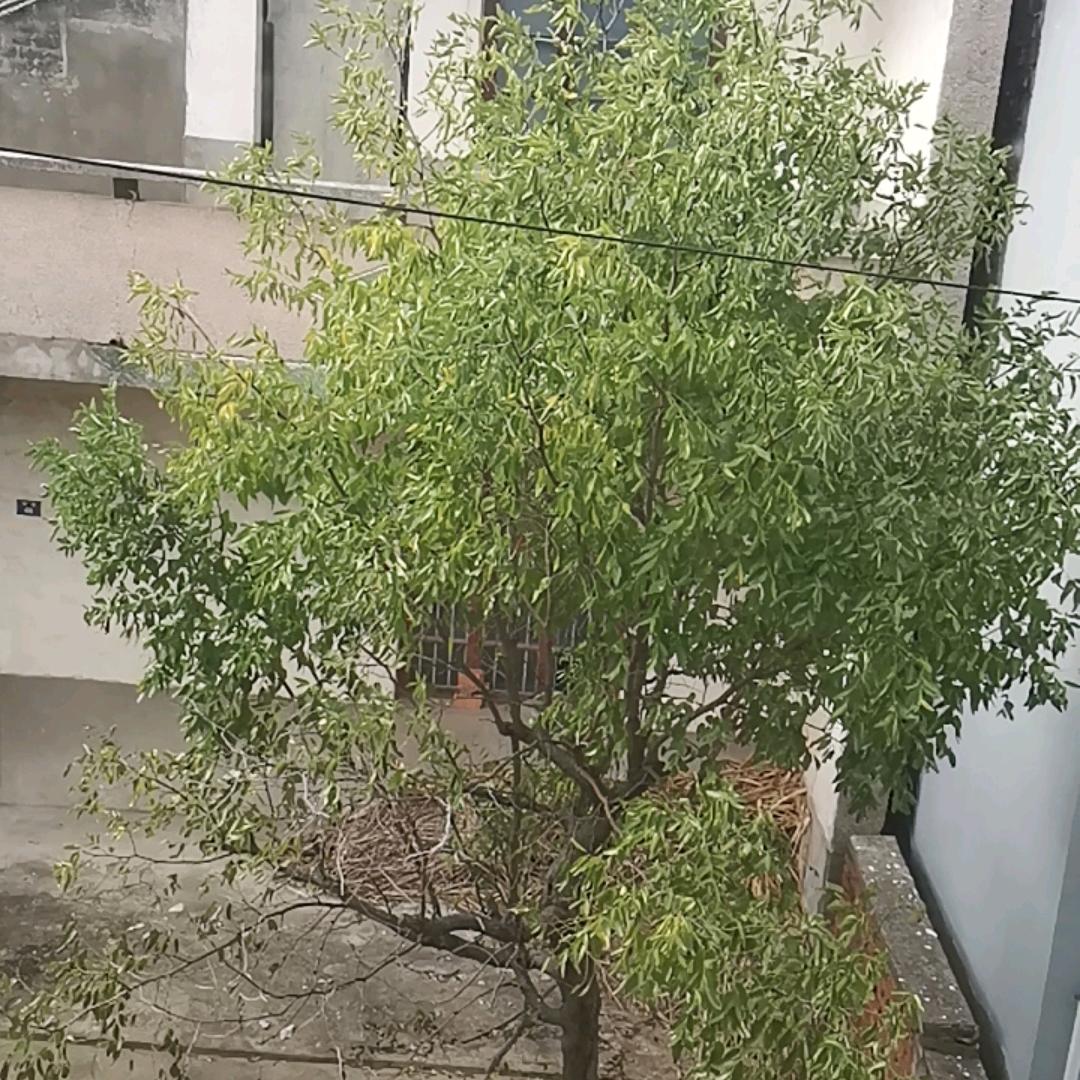 一路有你