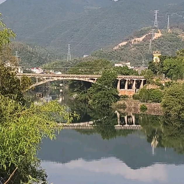 随风而来……