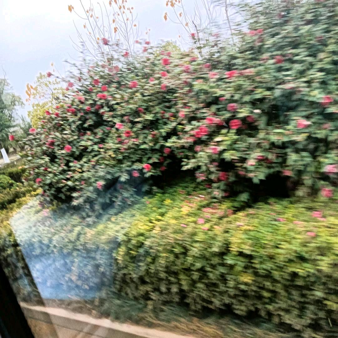 飞小天小妹妹舞蹈播放器晚上好19：20点