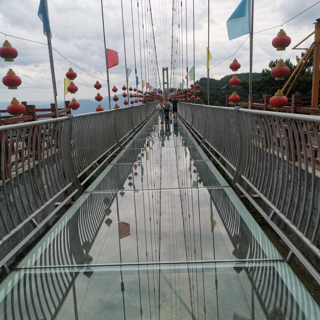 从头再来3184907328442