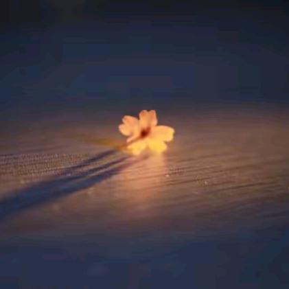 雾霾