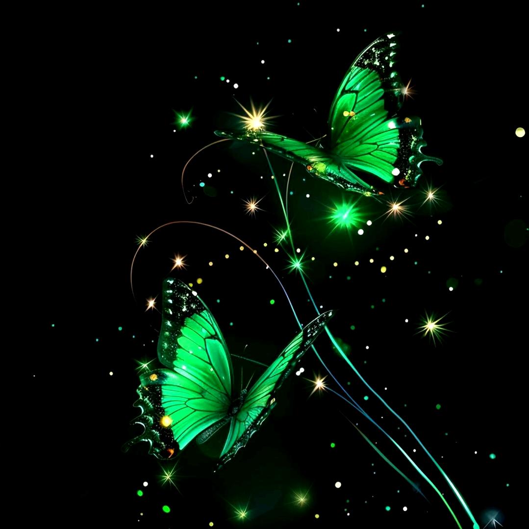 蝴蝶🦋飞