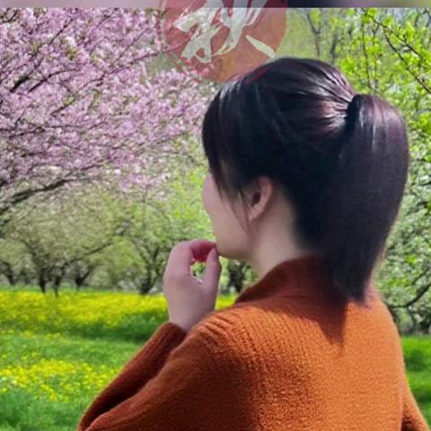 自在随缘