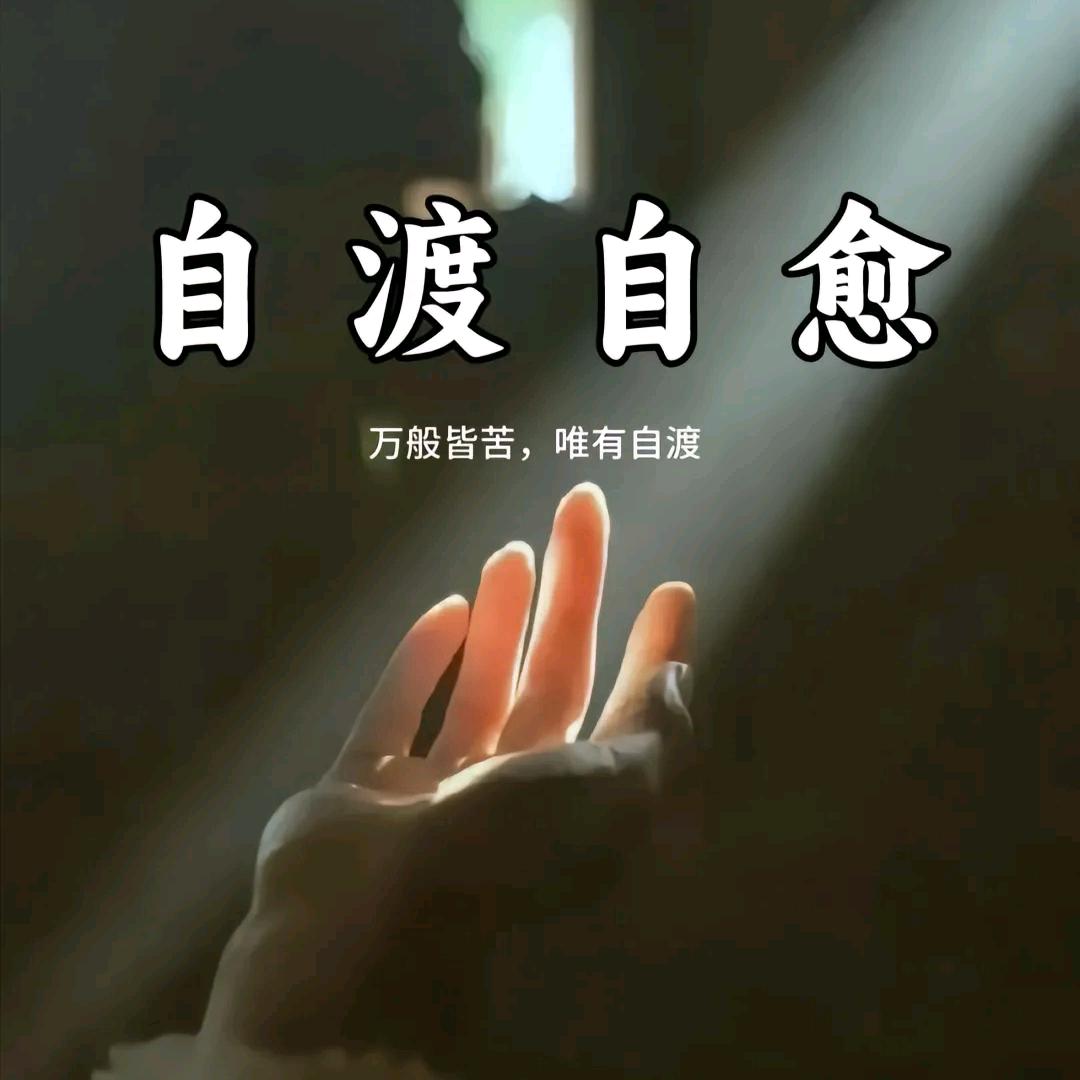 相逢已是上上签