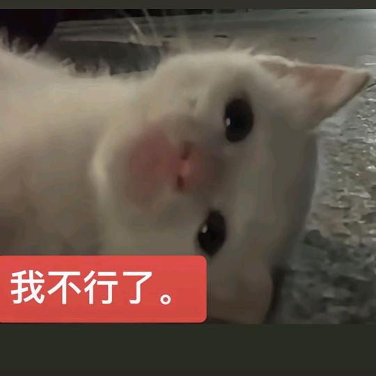 我不行了