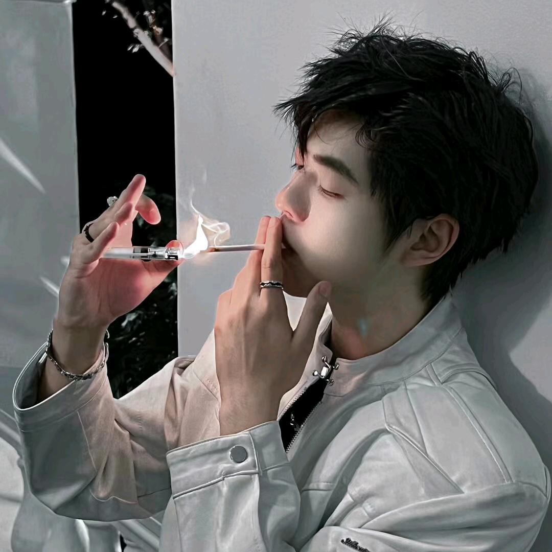 王子少爷