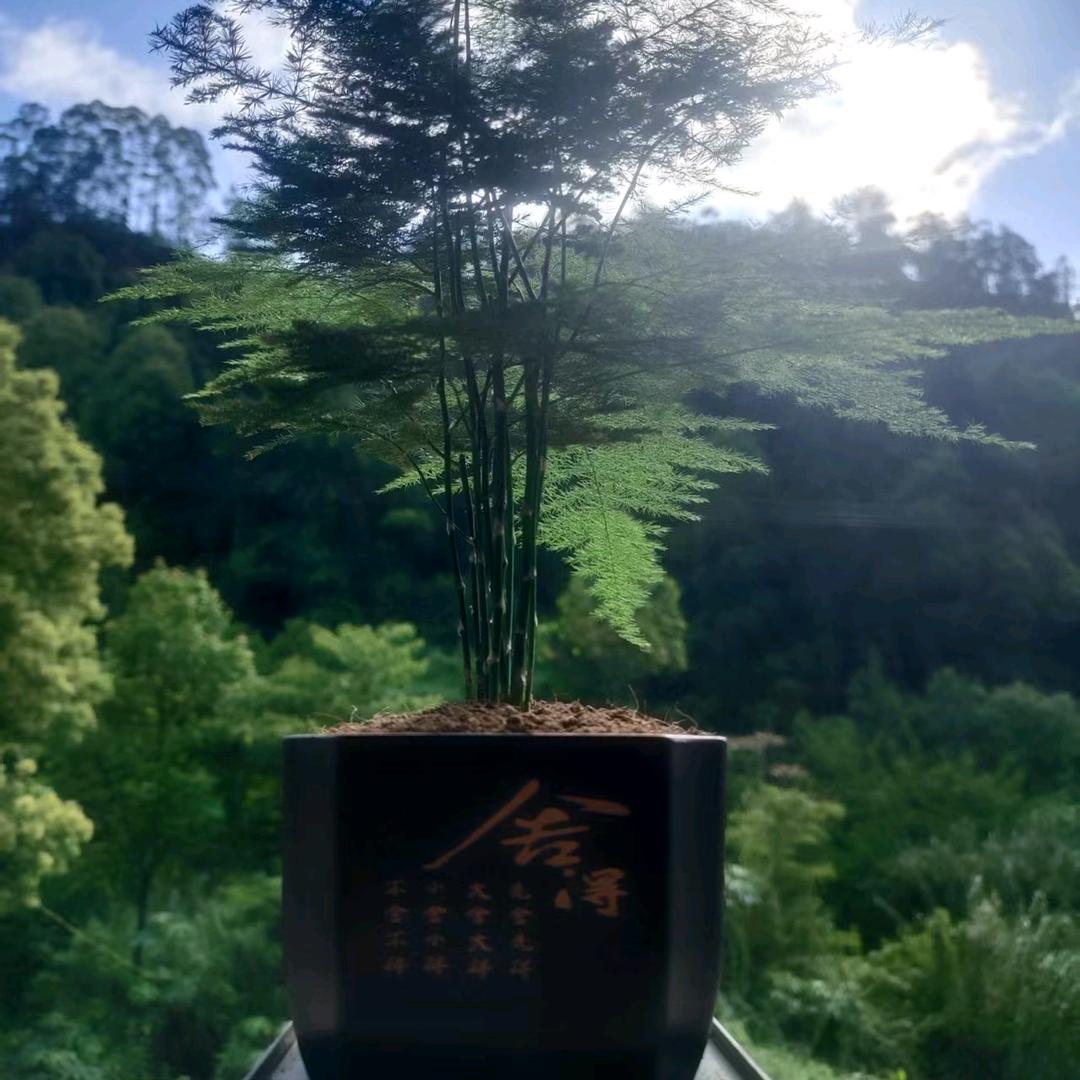 笑看余生