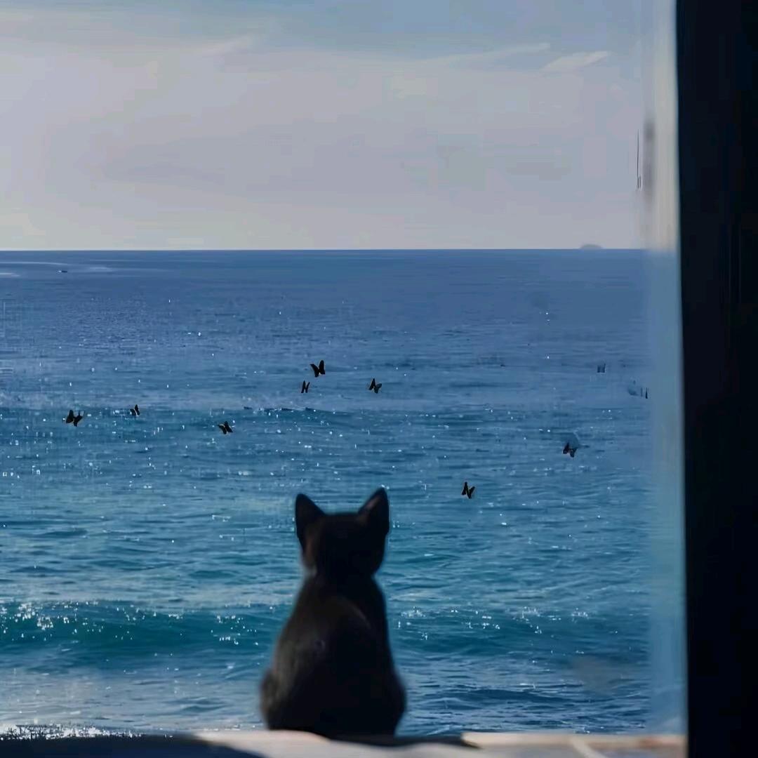 面包不会说话🍞