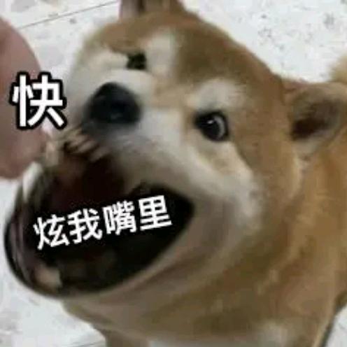 偏爱