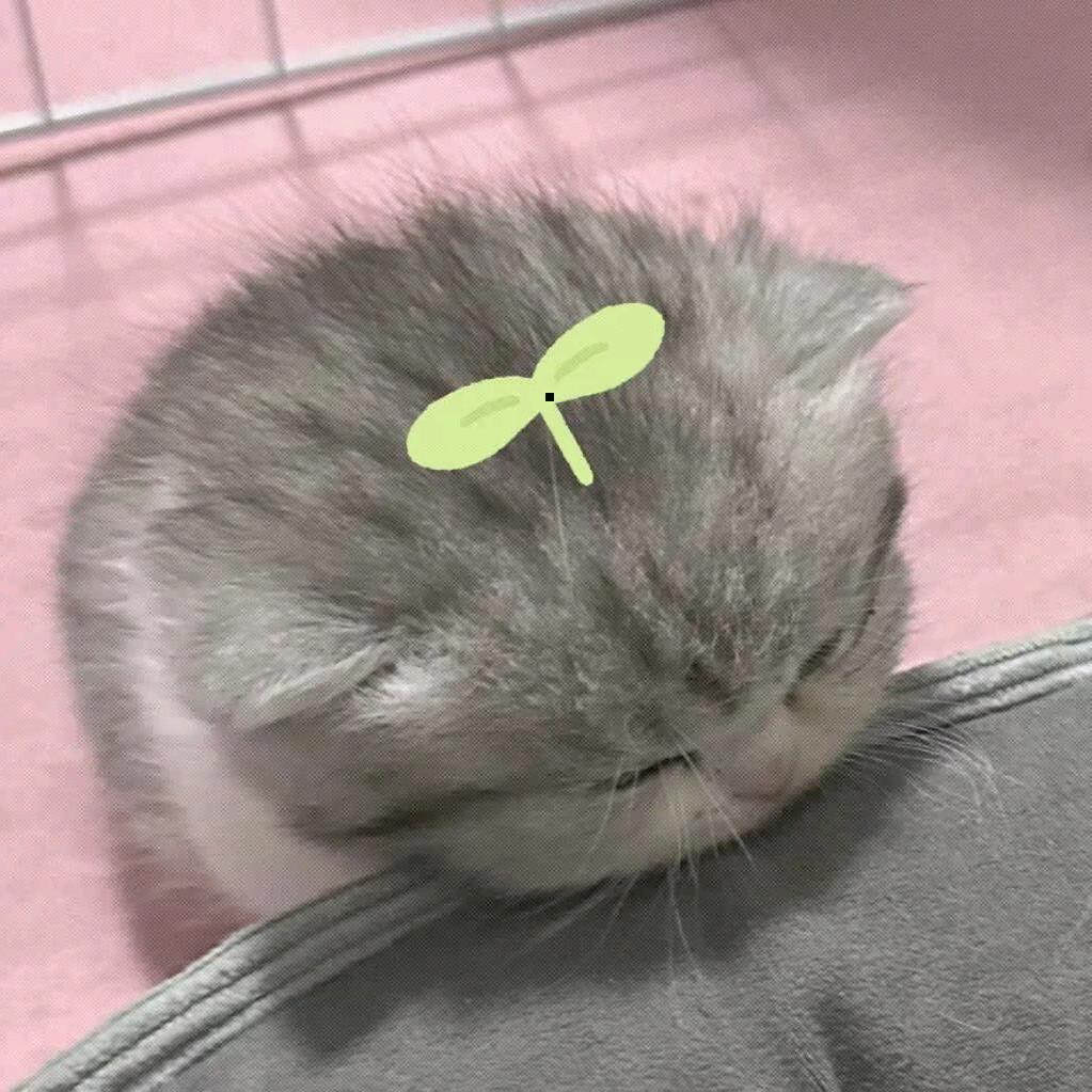 别老盯着我名字看