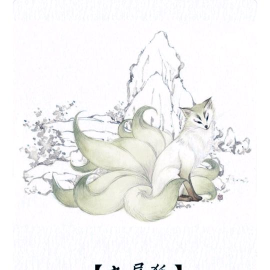 狐  狸