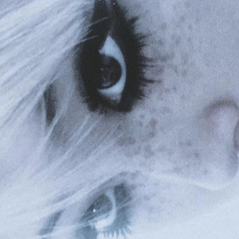 👀