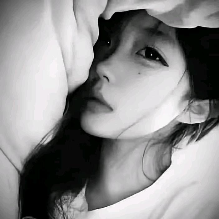 虎🐯