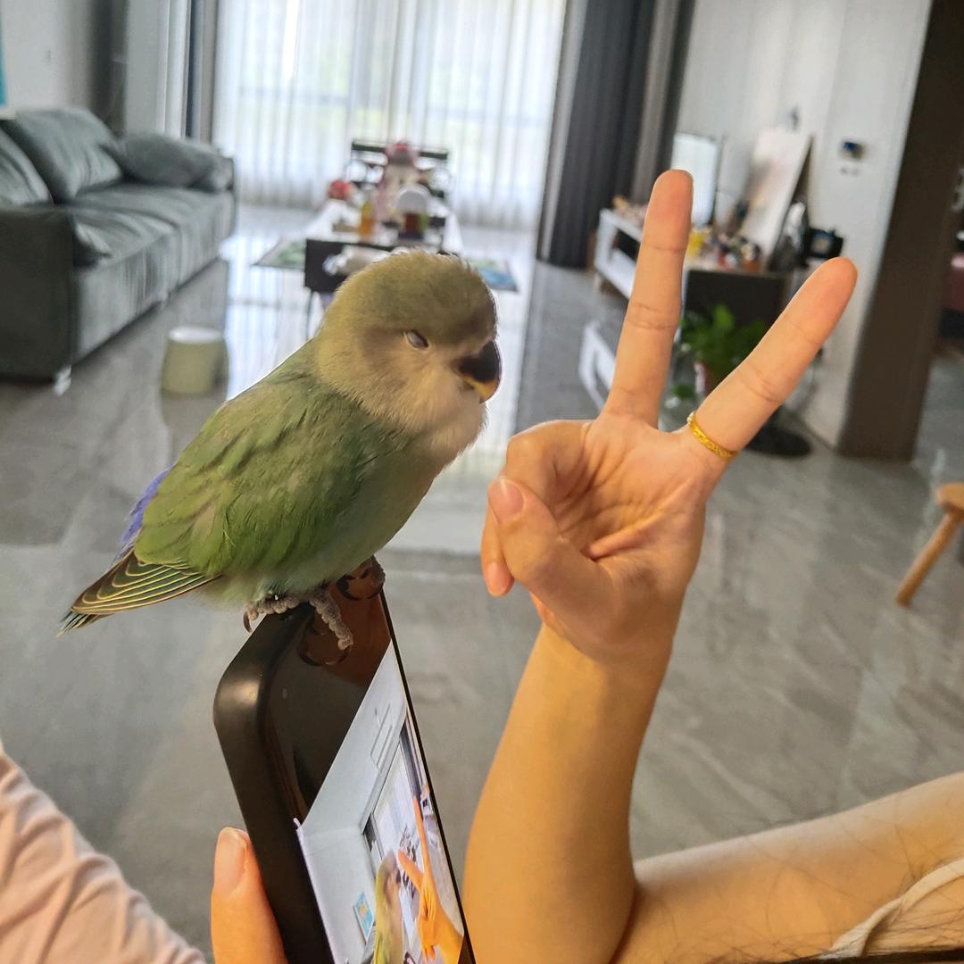 🌈🌈你给我低调点～