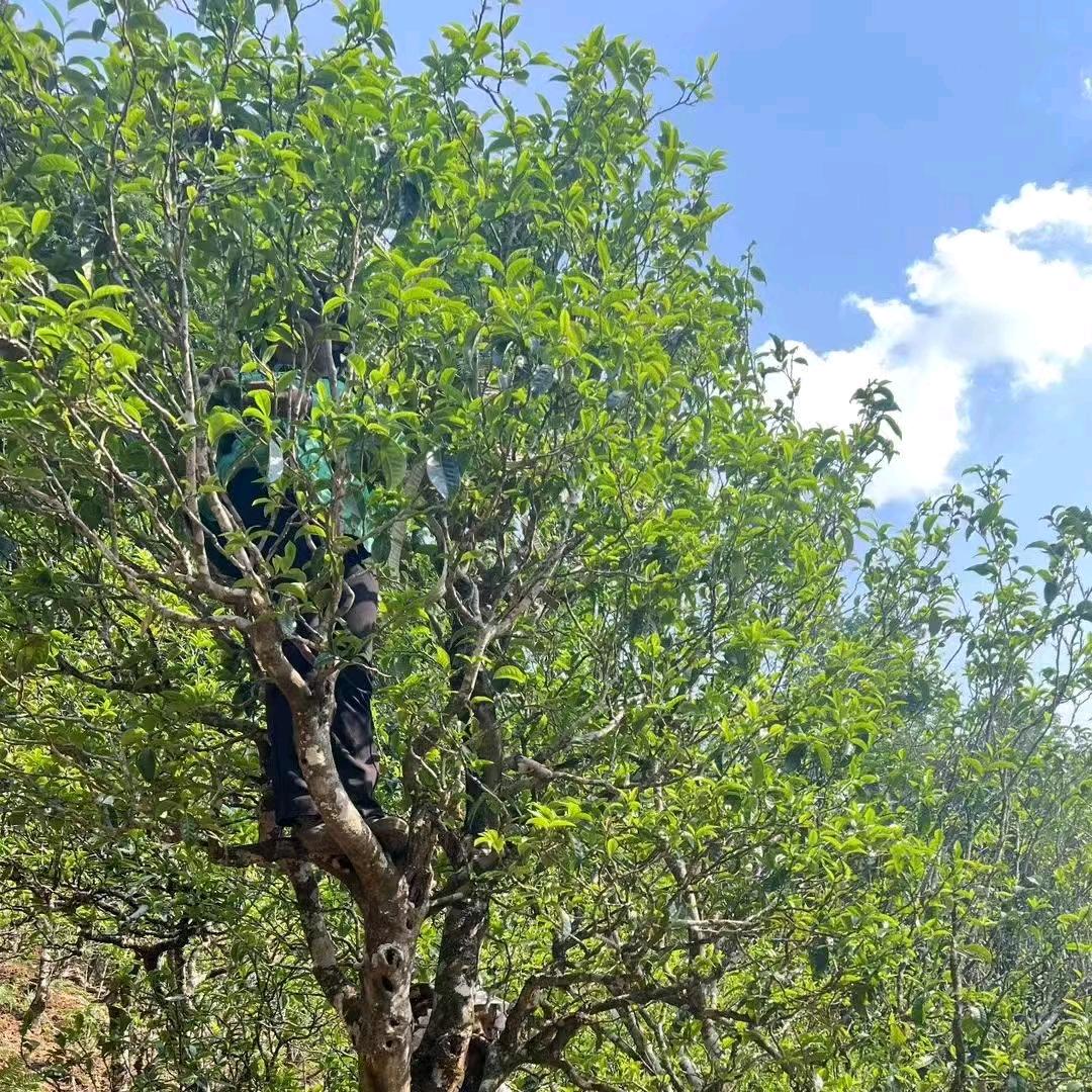 用户 18792356217034