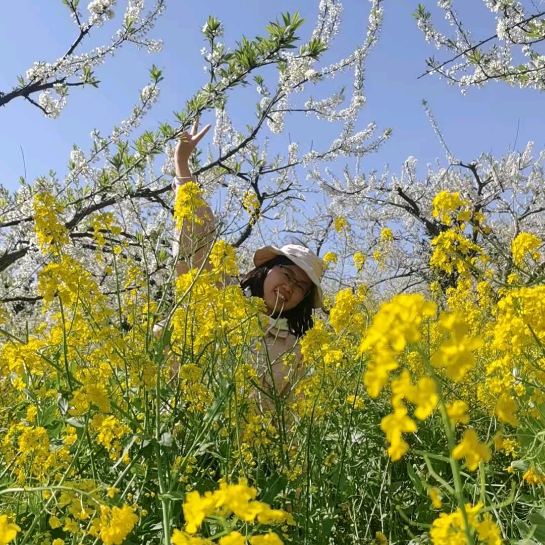 话梅2920