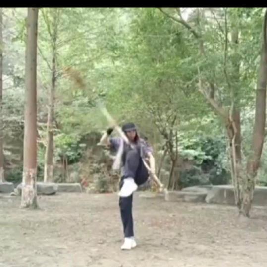武当虹喜鹊