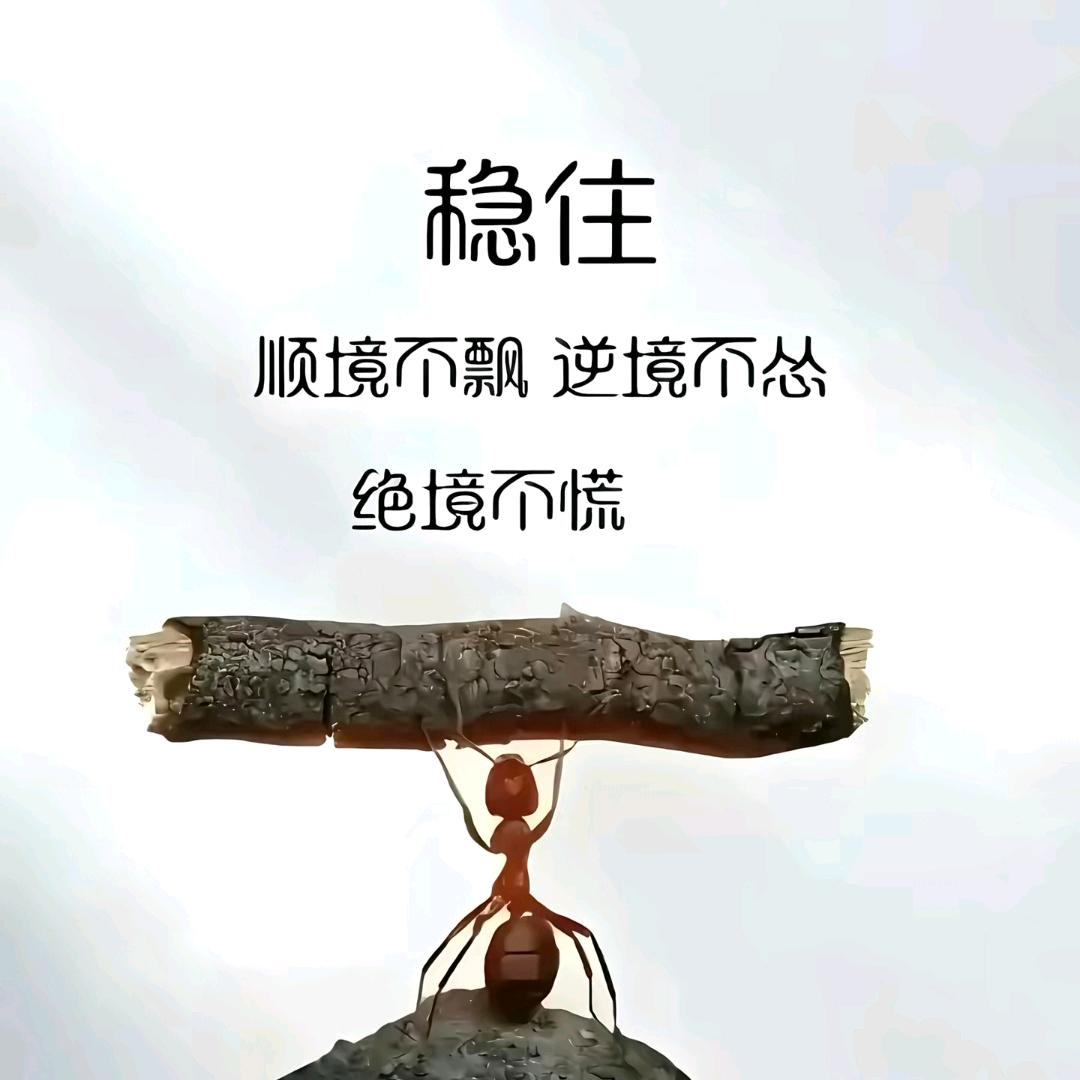 @黑白棋局