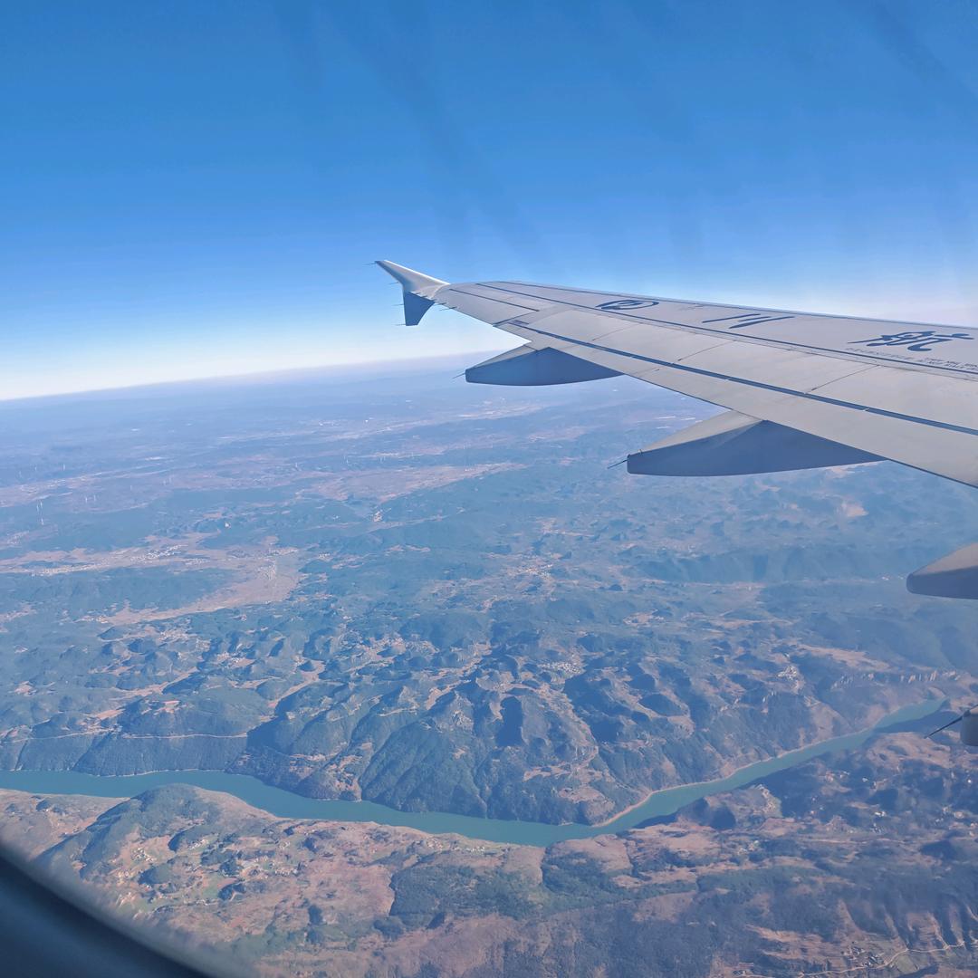 飞来飞去的鲨鱼