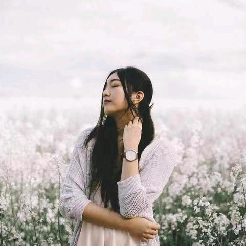 本人单身，小鸟依然一人