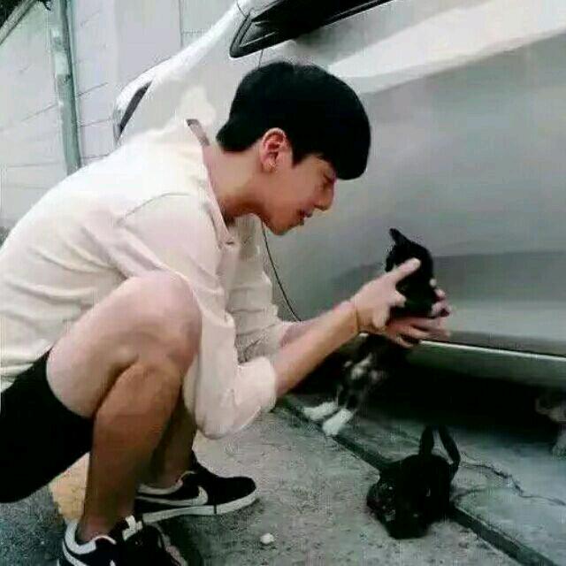 泪水打湿过桥米线