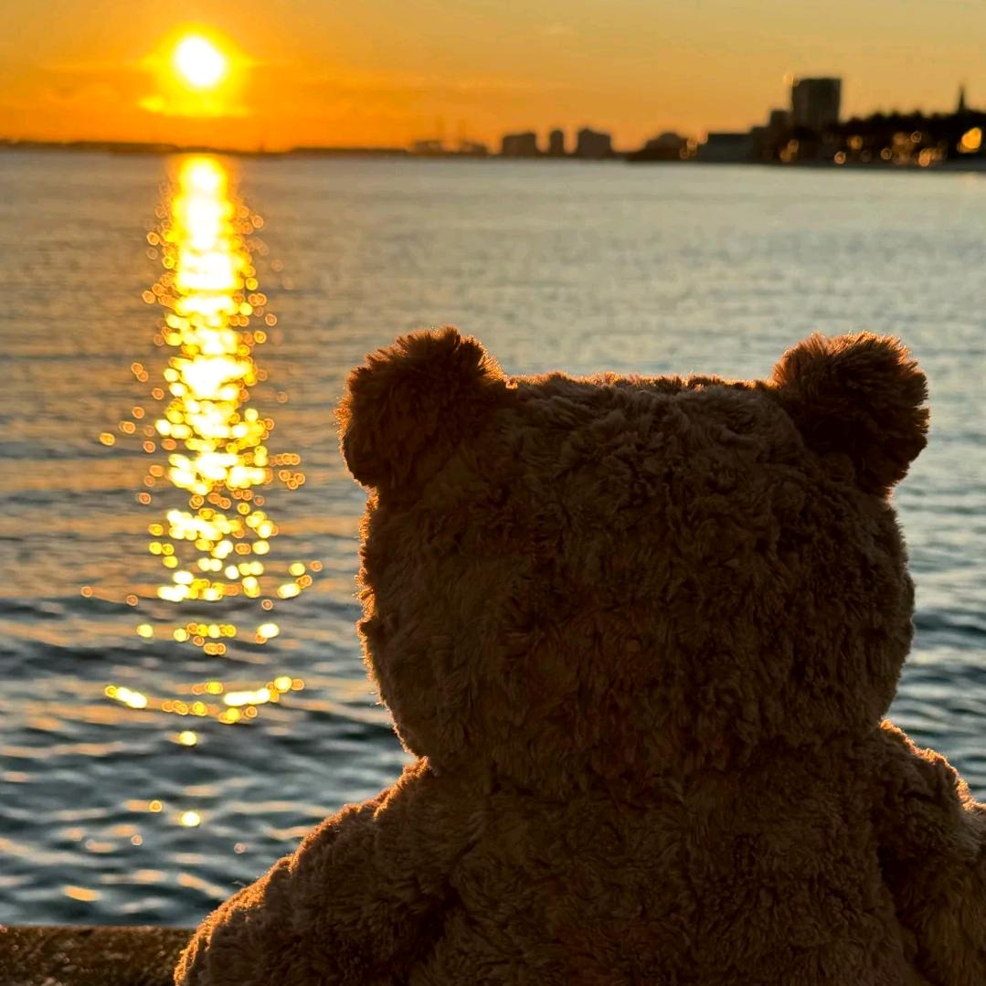 笨笨熊🐻