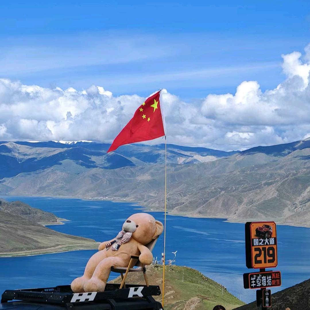 茶与茶寻