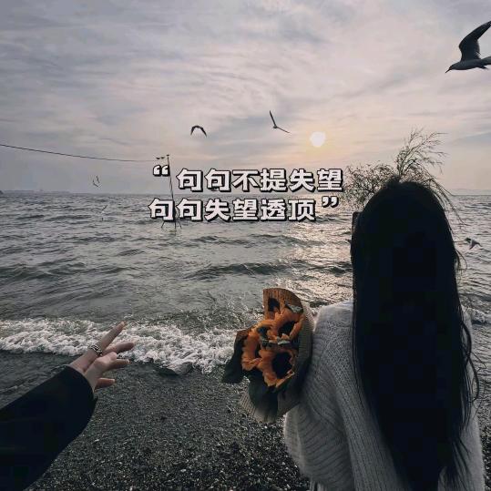 ღ᭄💞ঞMiss张 💗᭄
