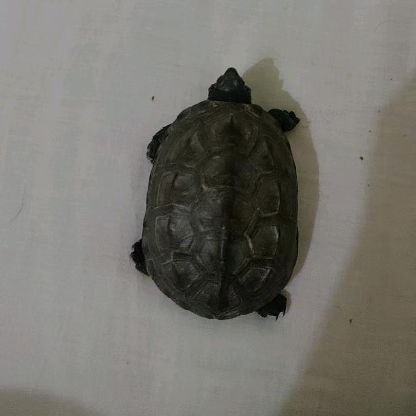 迈出那一步就好