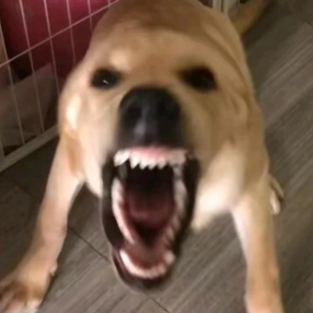 大王^O^
