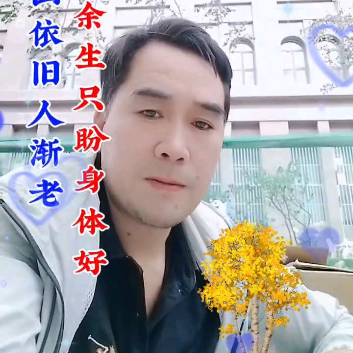 浪子丹心