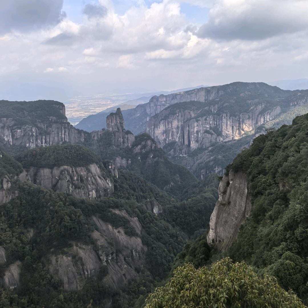 永远得不到的猪头