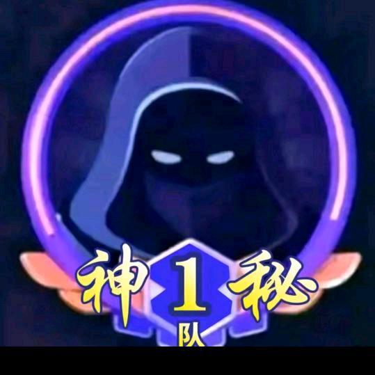 神秘人733085